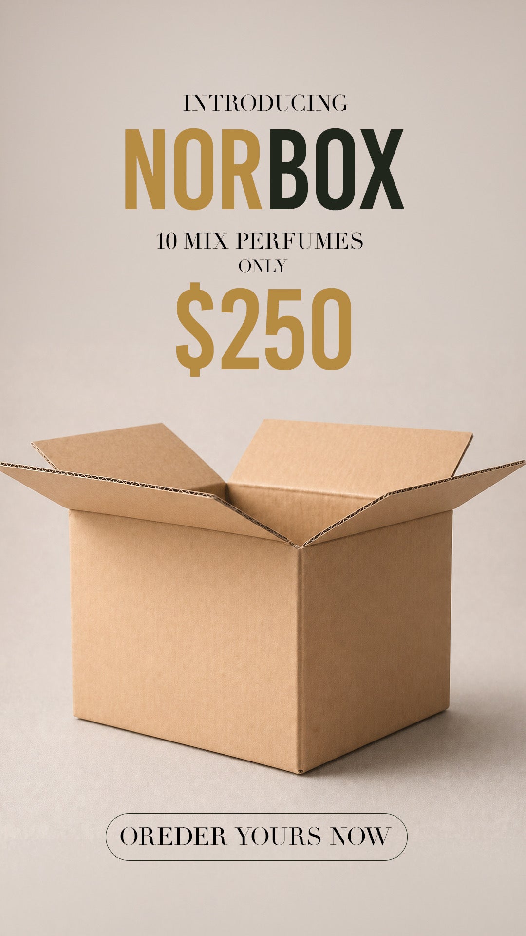 NOR BOX – Caja Sorpresa de Perfumes (10 Fragancias | $250)